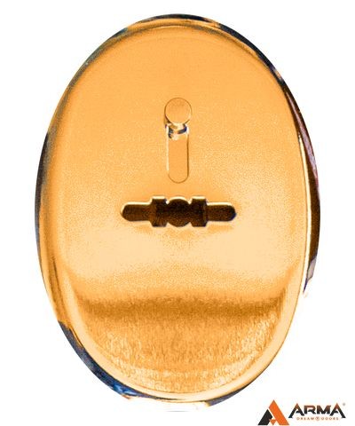 Накладка Апекс DP-S-10-G-shutter (овальная сув. шторка) золото